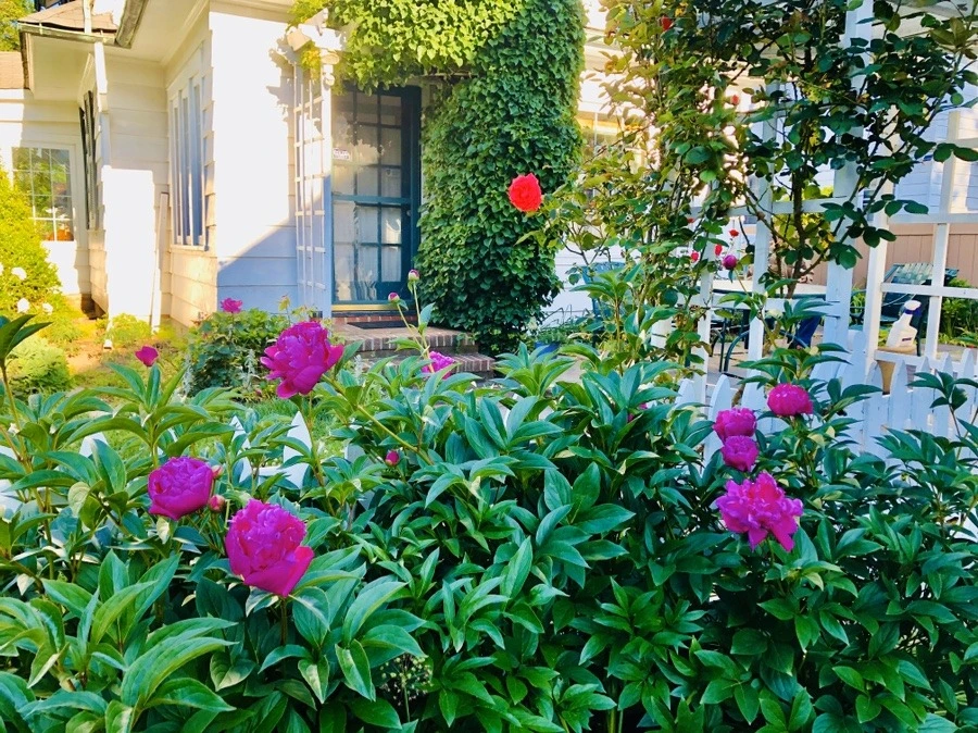 zM2eS3J1xsbmXdmqDpwOE25v7rk