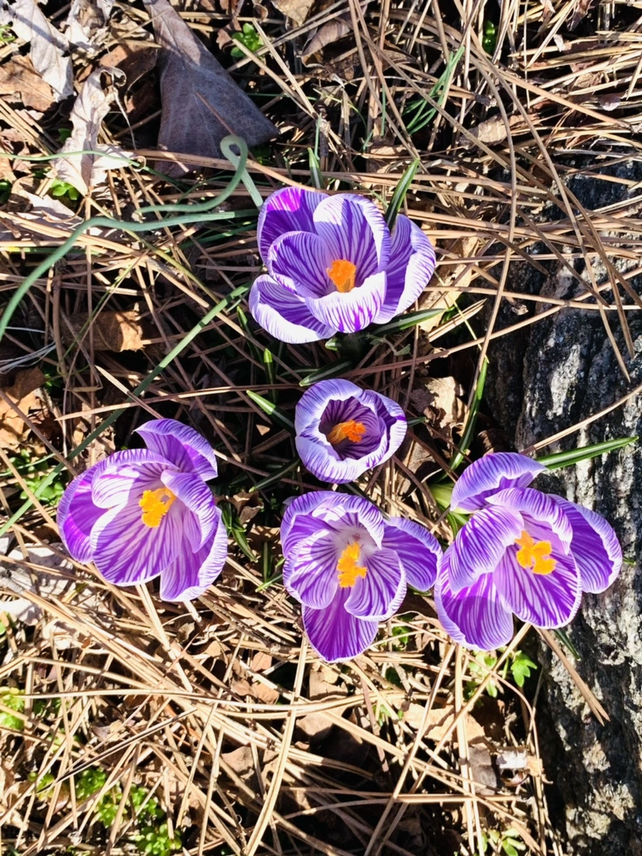 IMG_2970.jpg?type=w966