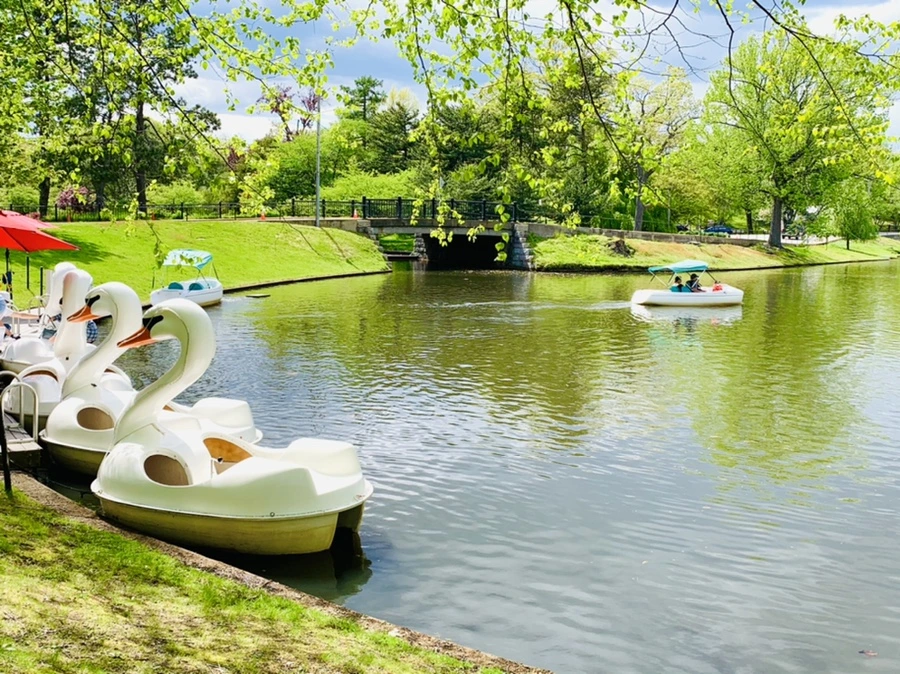 IMG_2482.jpg?type=w966