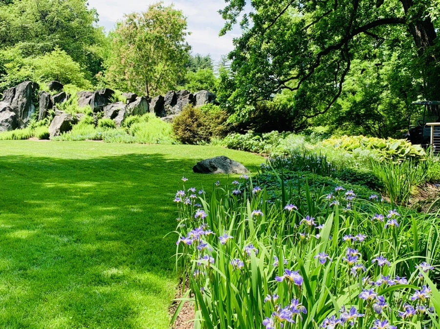 IMG_8444.jpg?type=w966