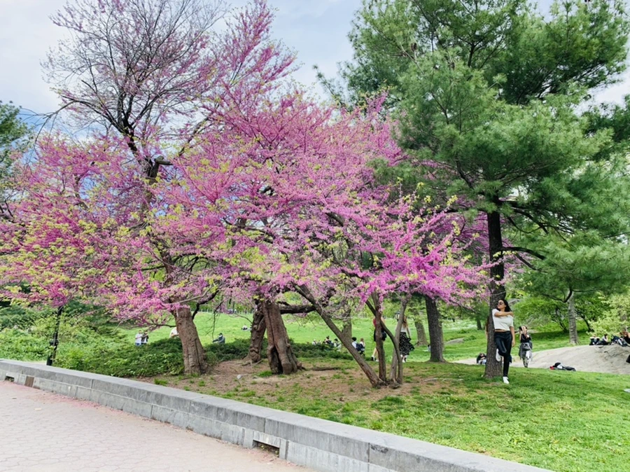 IMG_8757.jpg?type=w966