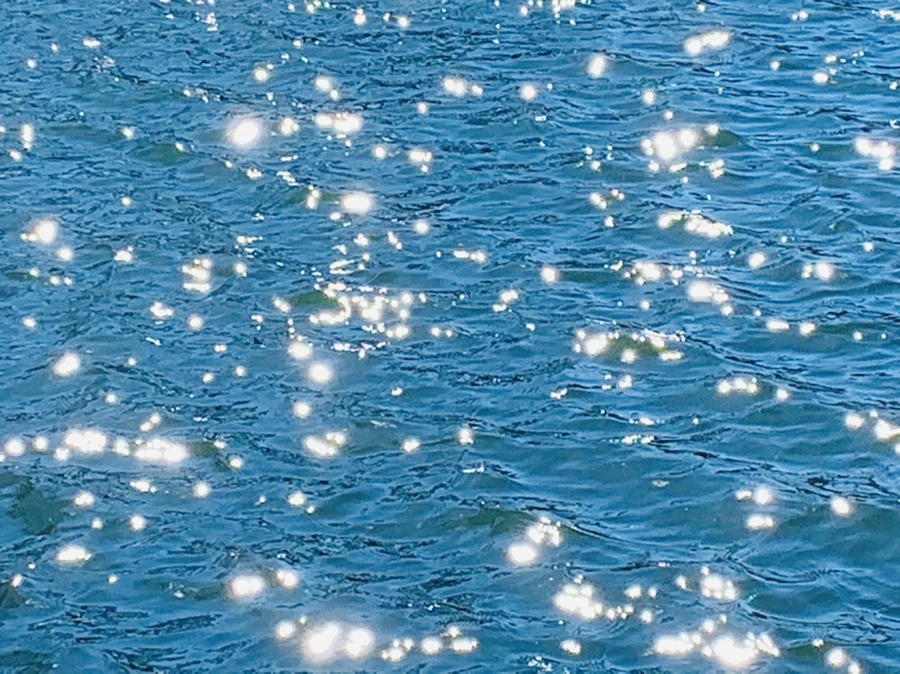 IMG_7564.jpg?type=w966