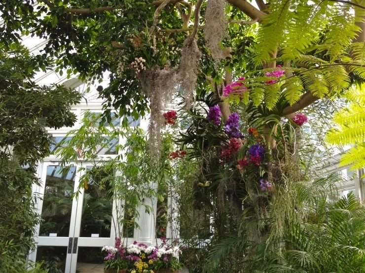 q6k6d6Pt5nAbM1adZ99r-sOH3AI