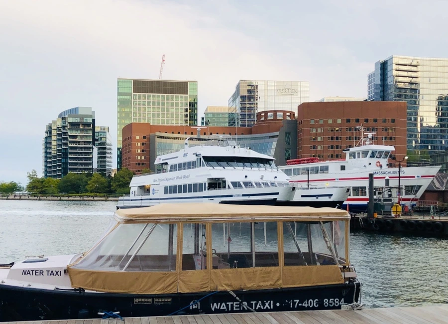 IMG_0626.jpg?type=w966