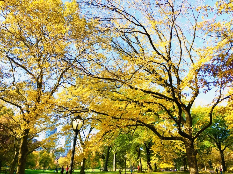 IMG_3454.jpg?type=w966