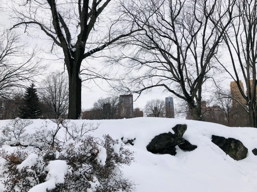 IMG_9535.jpg?type=w966