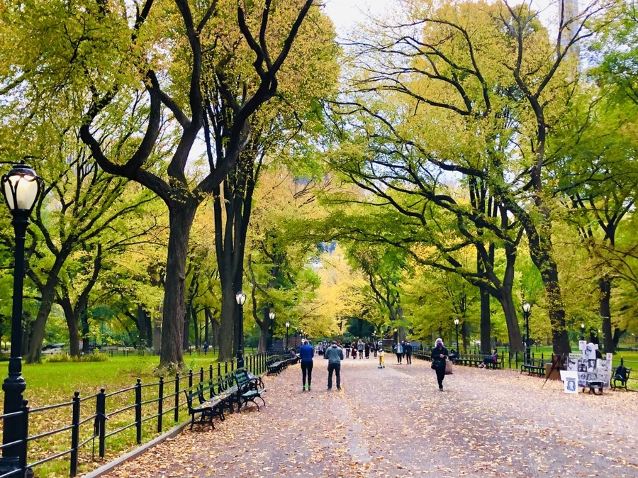 IMG_3095.jpg?type=w966