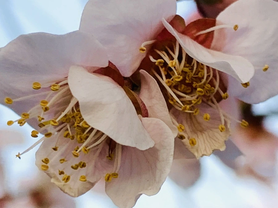 IMG_2786.jpg?type=w966