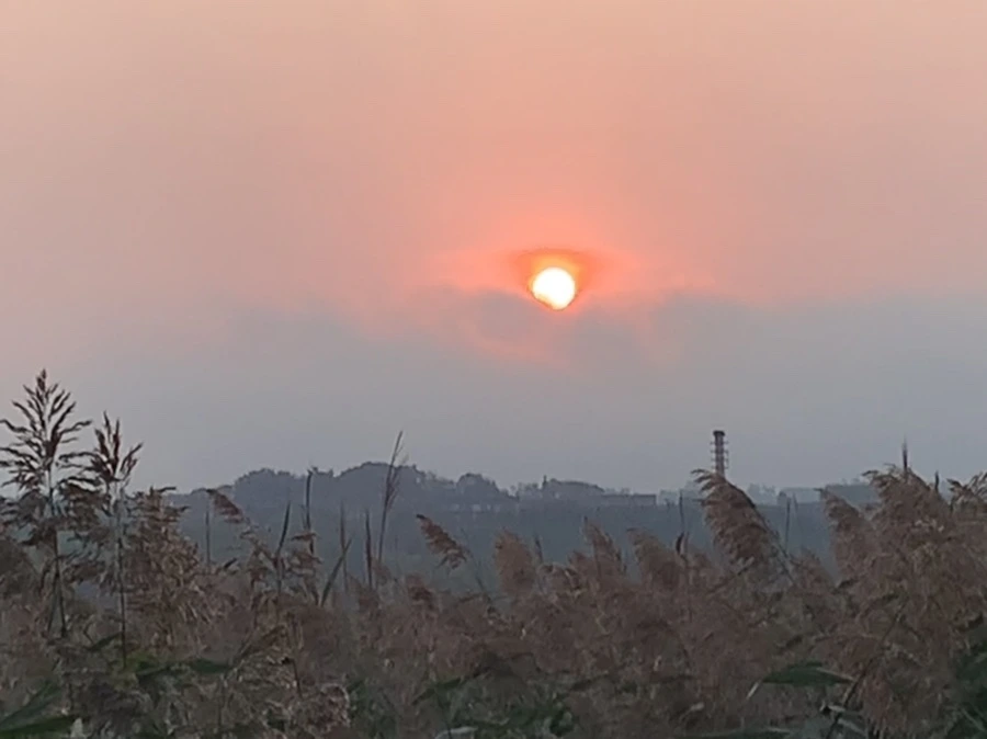 IMG_1127.jpg?type=w966