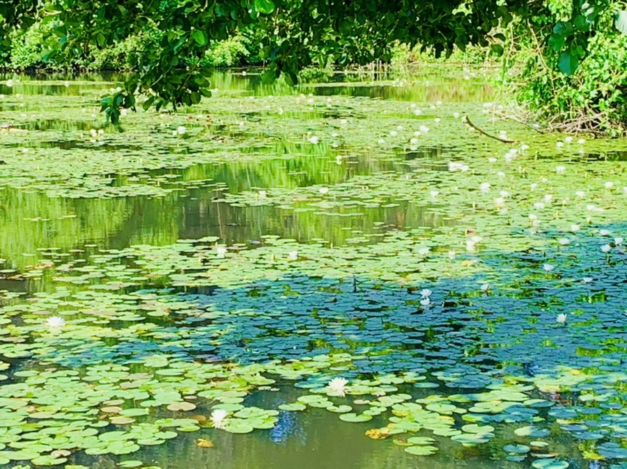 IMG_1308.jpg?type=w966