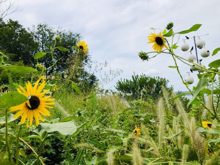 IMG_7907.jpg?type=w966