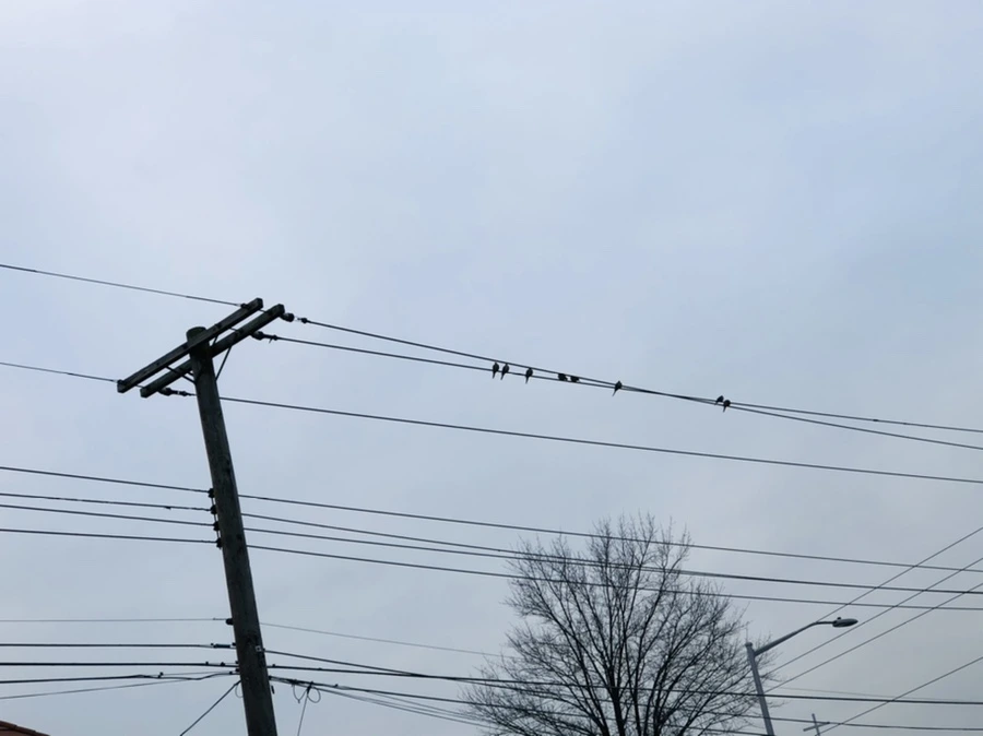 IMG_2375.jpg?type=w966