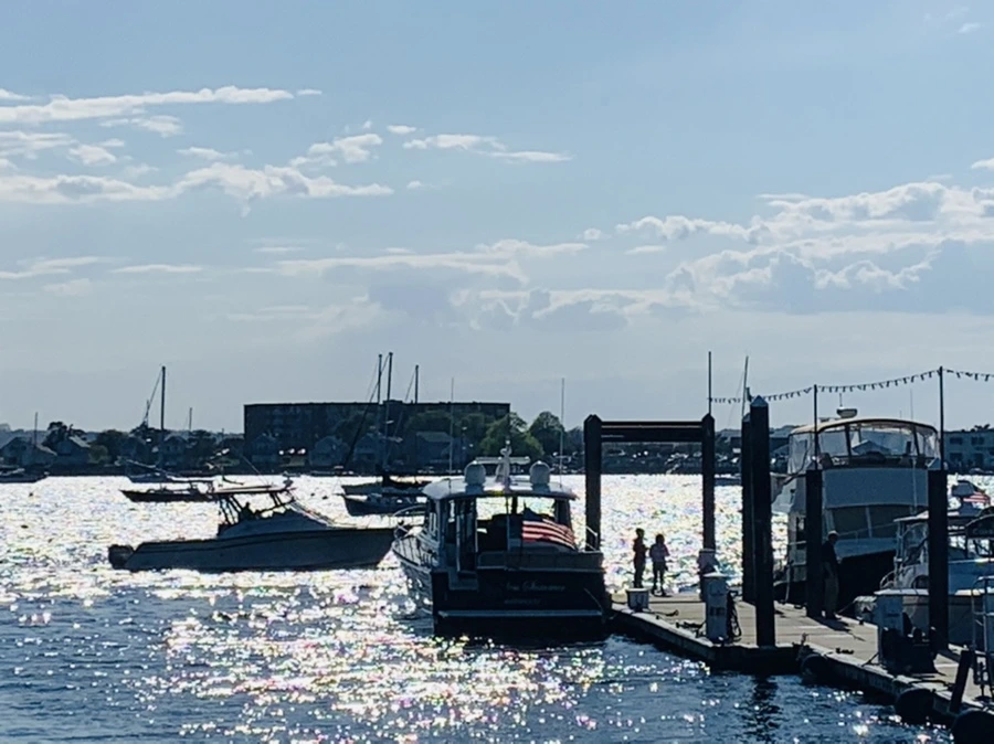 IMG_2826.jpg?type=w966