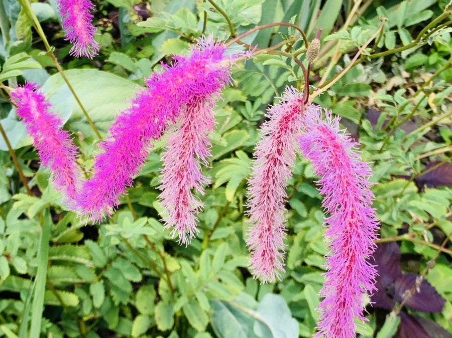 IMG_9409.jpg?type=w966