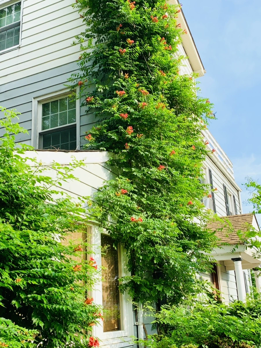 IMG_5719.jpg?type=w966