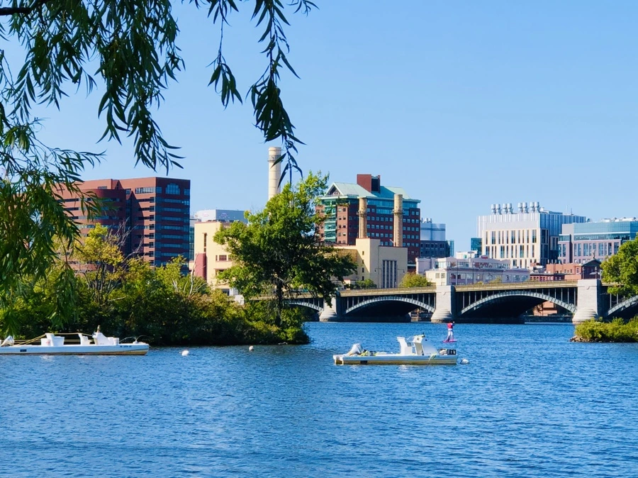 IMG_0488.jpg?type=w966