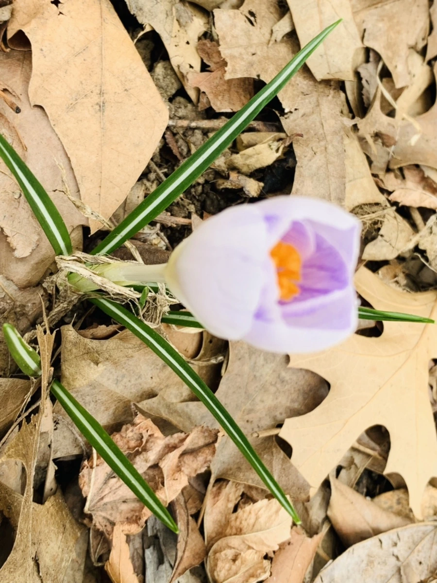 IMG_3520.jpg?type=w966