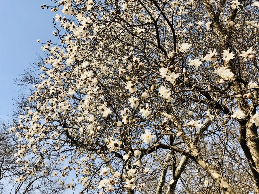 IMG_6493.jpg?type=w966