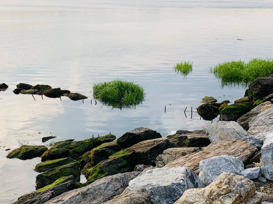 IMG_1592.jpg?type=w966