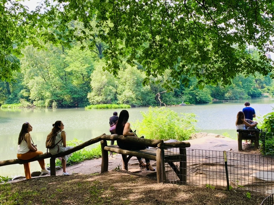 IMG_1623.jpg?type=w966