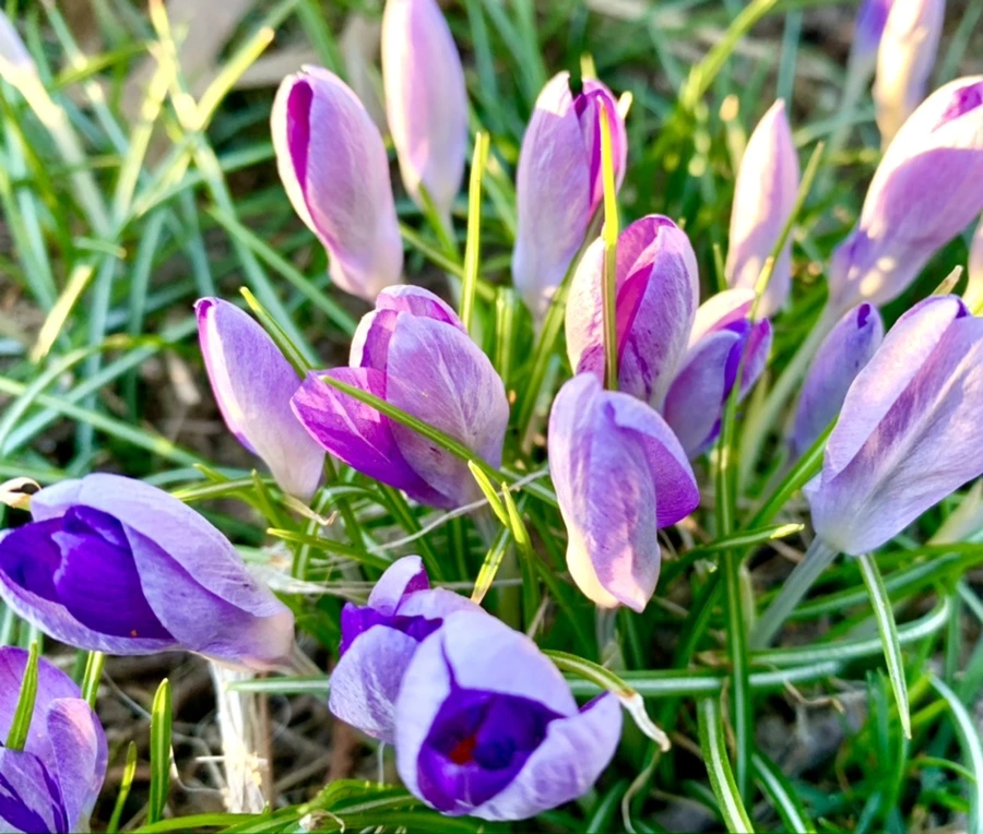 IMG_0757.jpg?type=w966