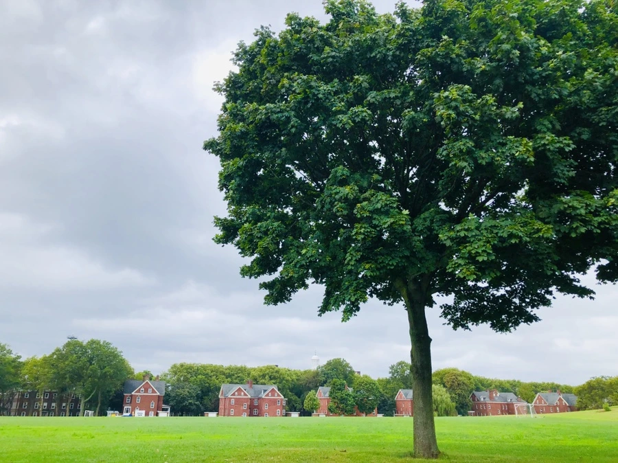 IMG_7152.jpg?type=w966