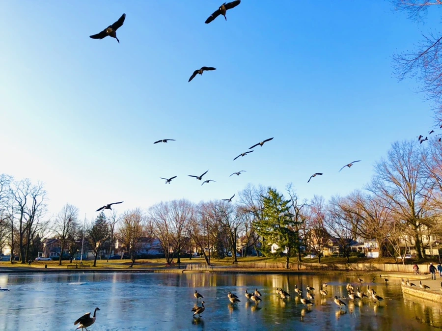 IMG_2290.jpg?type=w966