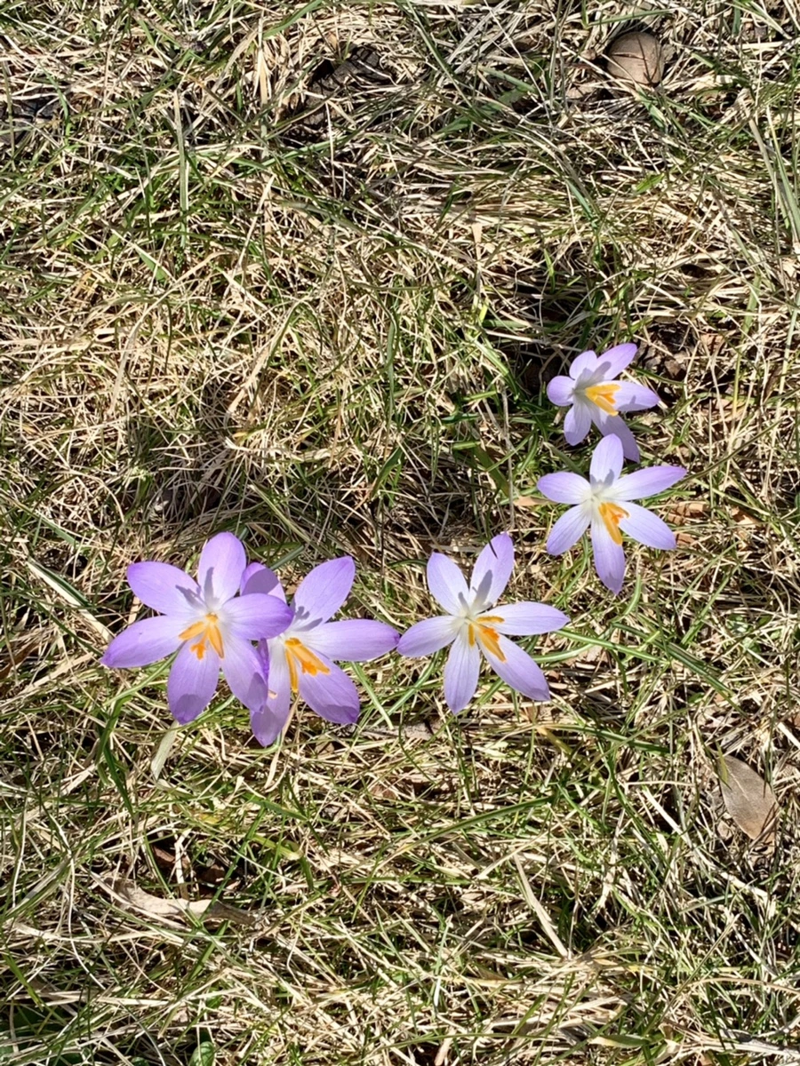 IMG_9193.jpg?type=w966