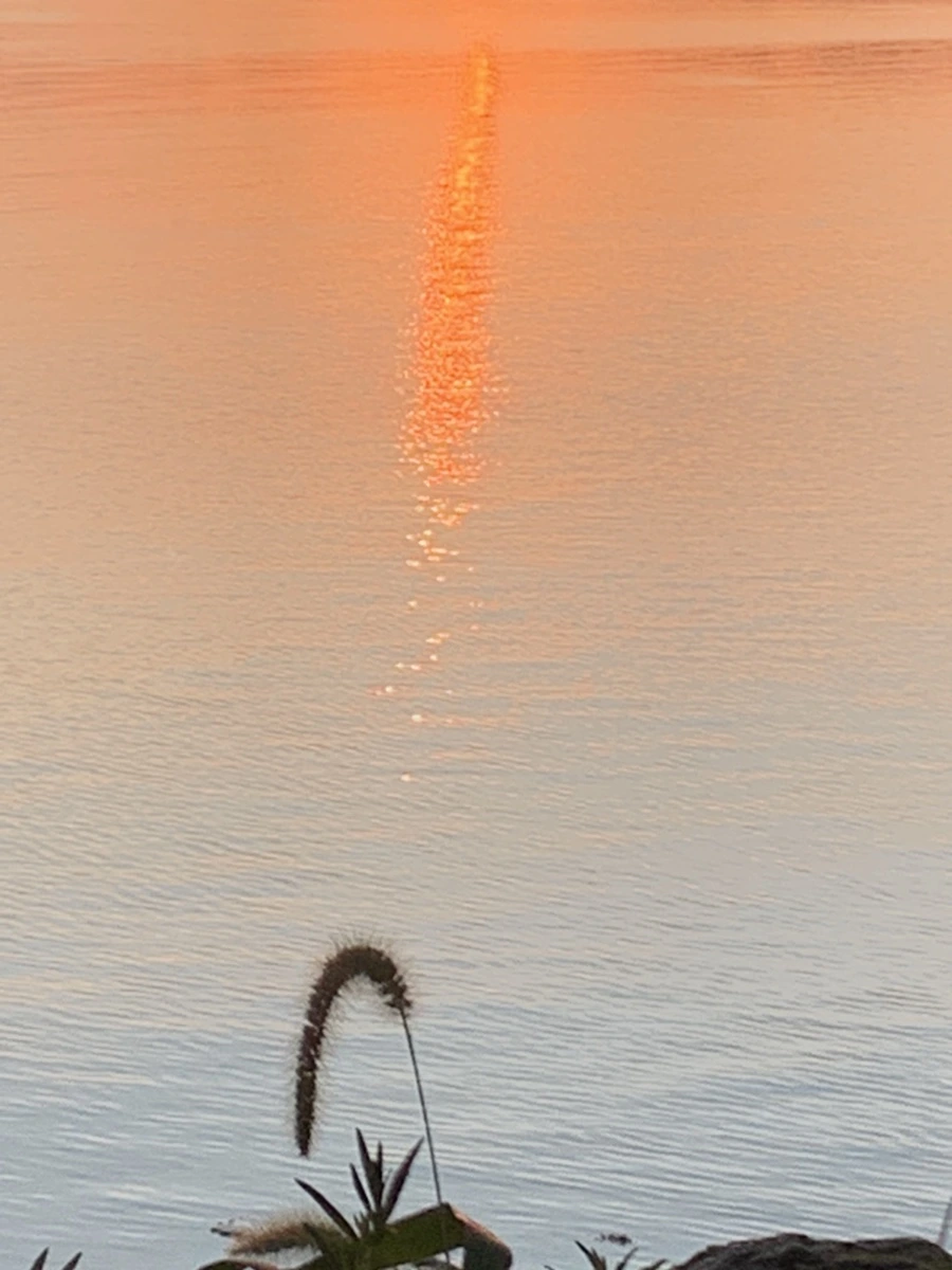 IMG_0975.jpg?type=w966