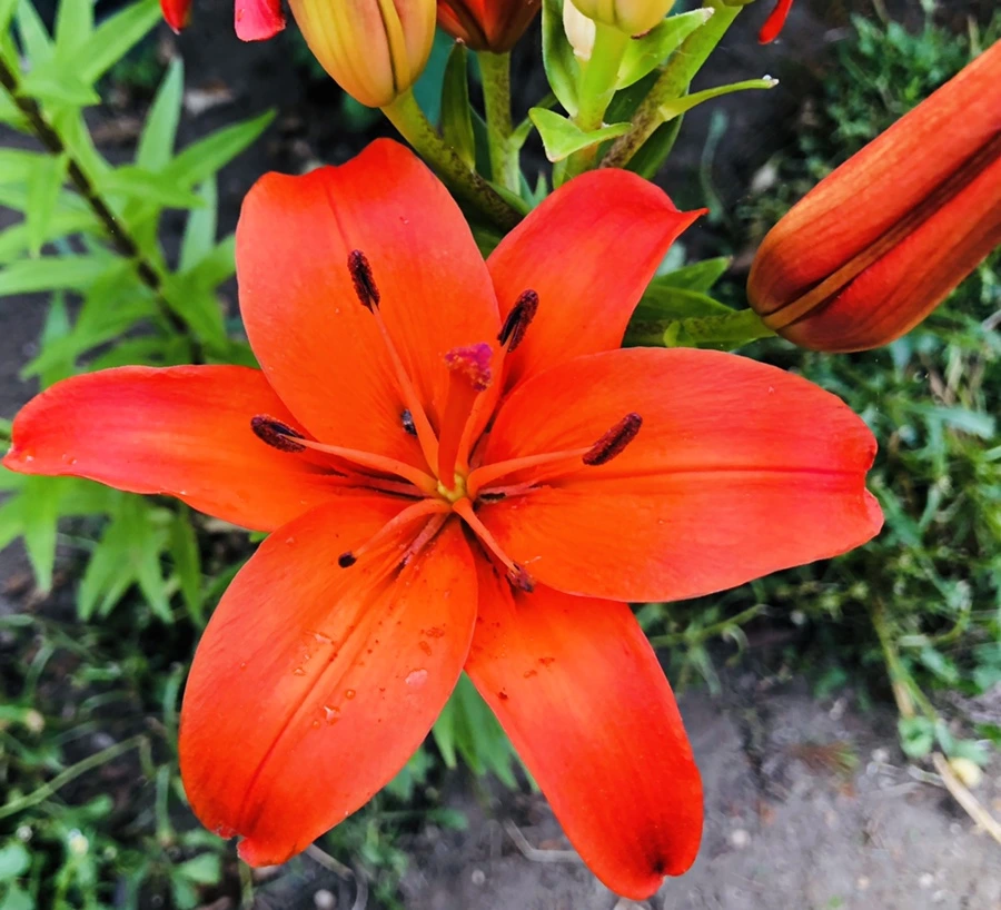 IMG_8839.jpg?type=w966