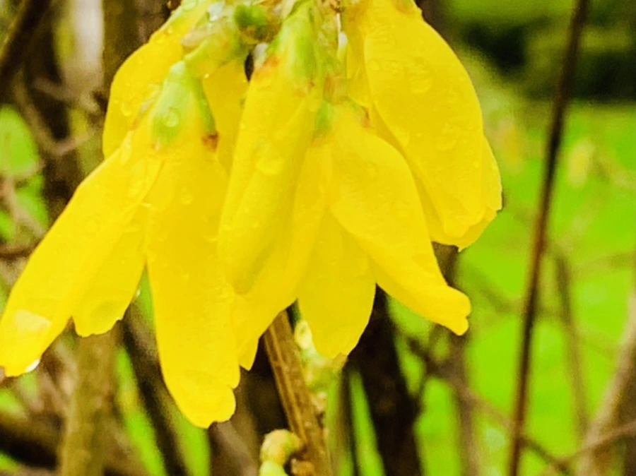 IMG_5064.jpg?type=w966