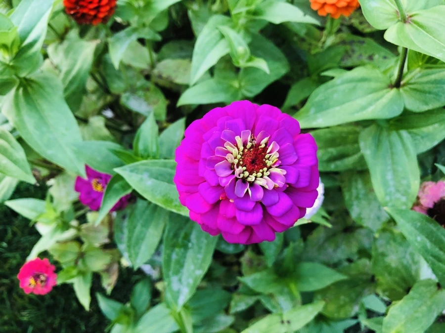 IMG_3633.jpg?type=w966