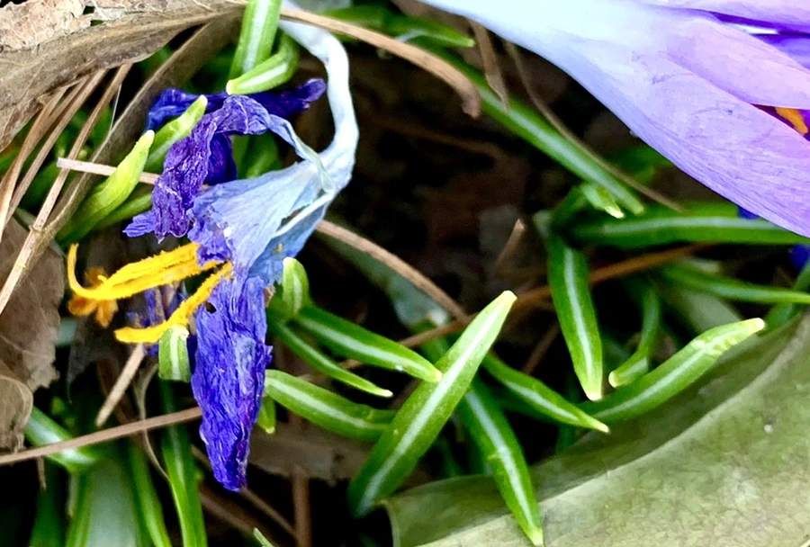 IMG_1454.jpg?type=w966