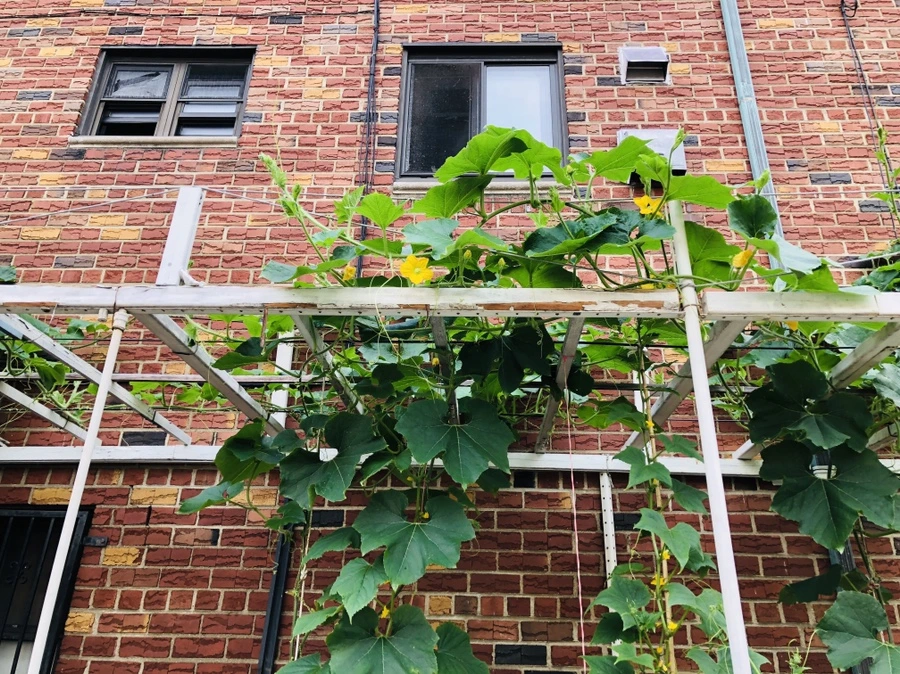 IMG_4230.jpg?type=w966