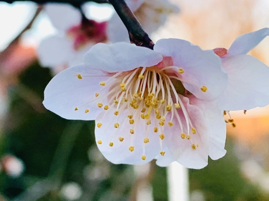 IMG_2307.jpg?type=w966