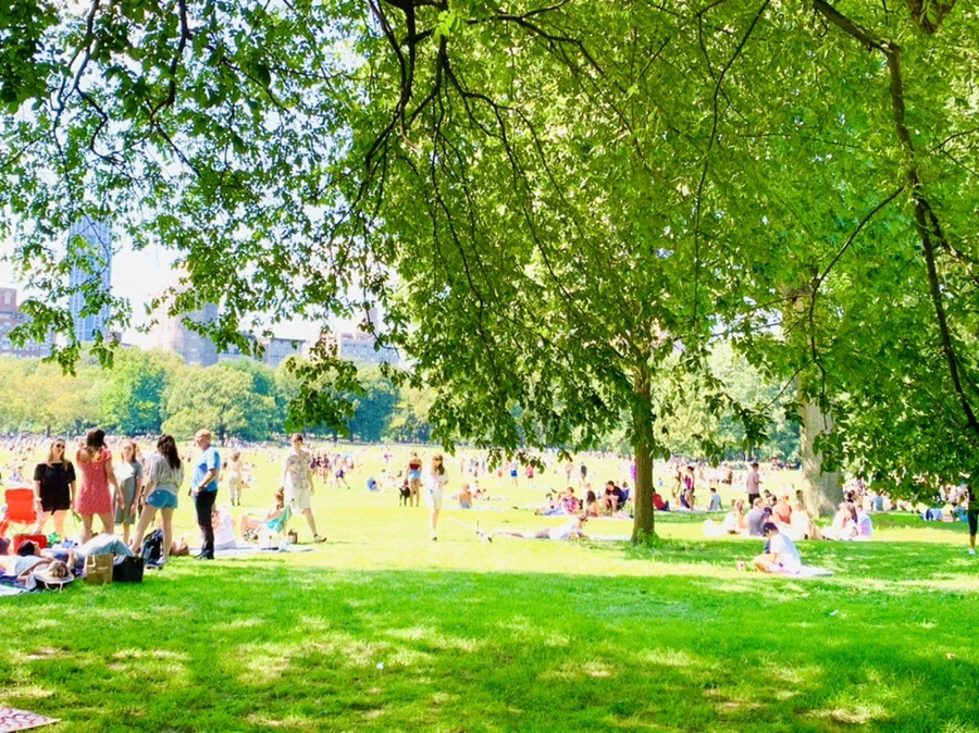 IMG_4361.jpg?type=w966