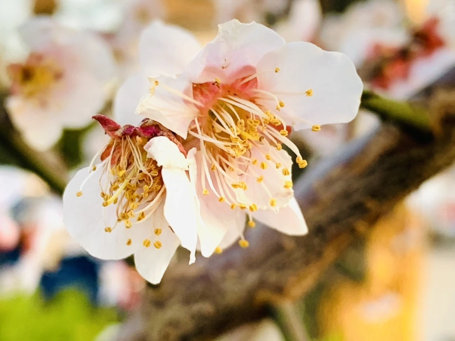 IMG_2739.jpg?type=w966