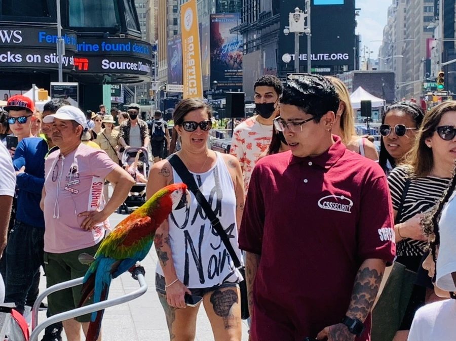 IMG_5446.jpg?type=w966