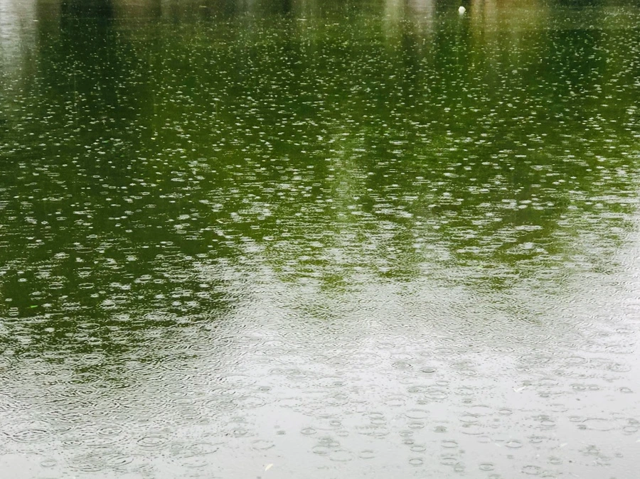 IMG_3247.jpg?type=w966