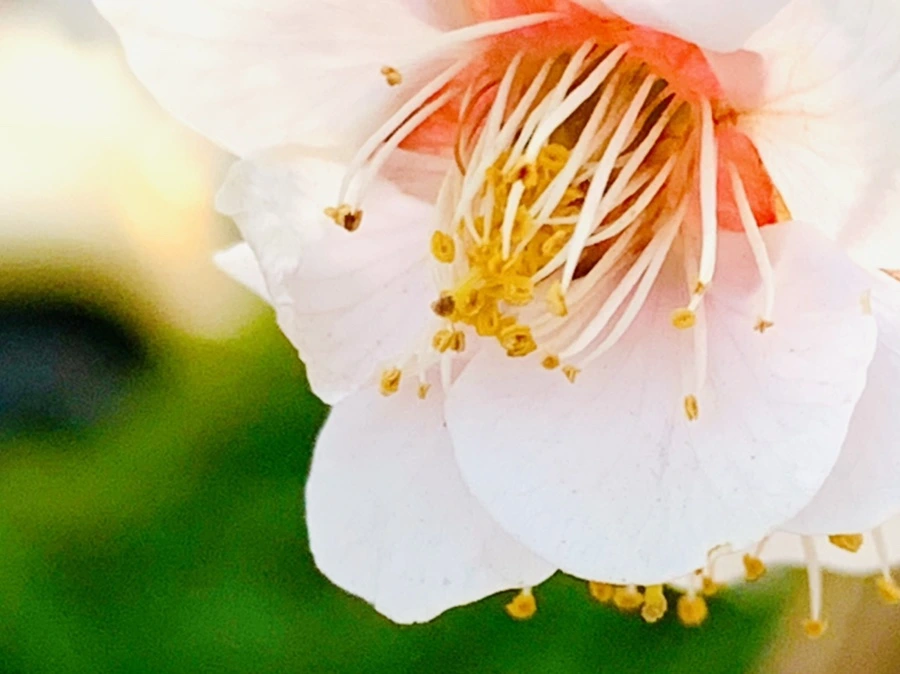 IMG_2866.jpg?type=w966