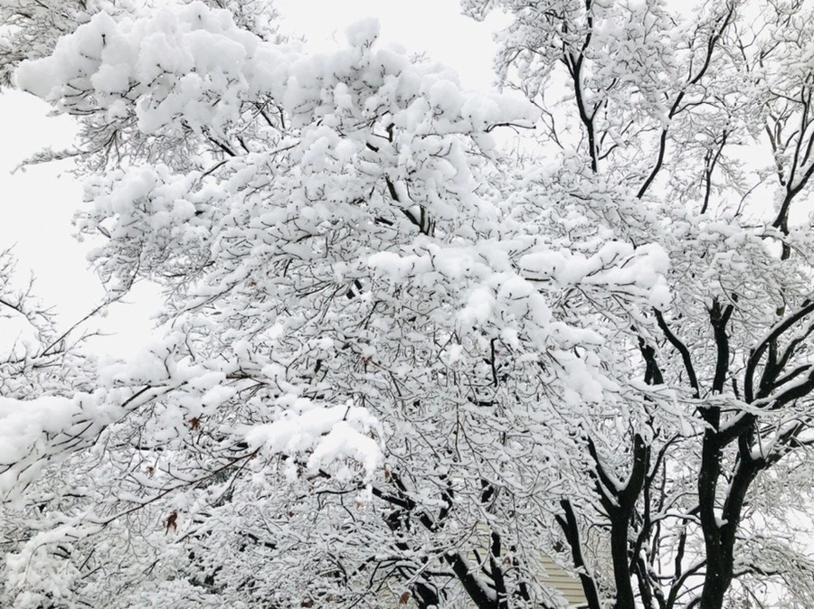 AlzHUihEYUKO_FeHIO21YNCyTmw