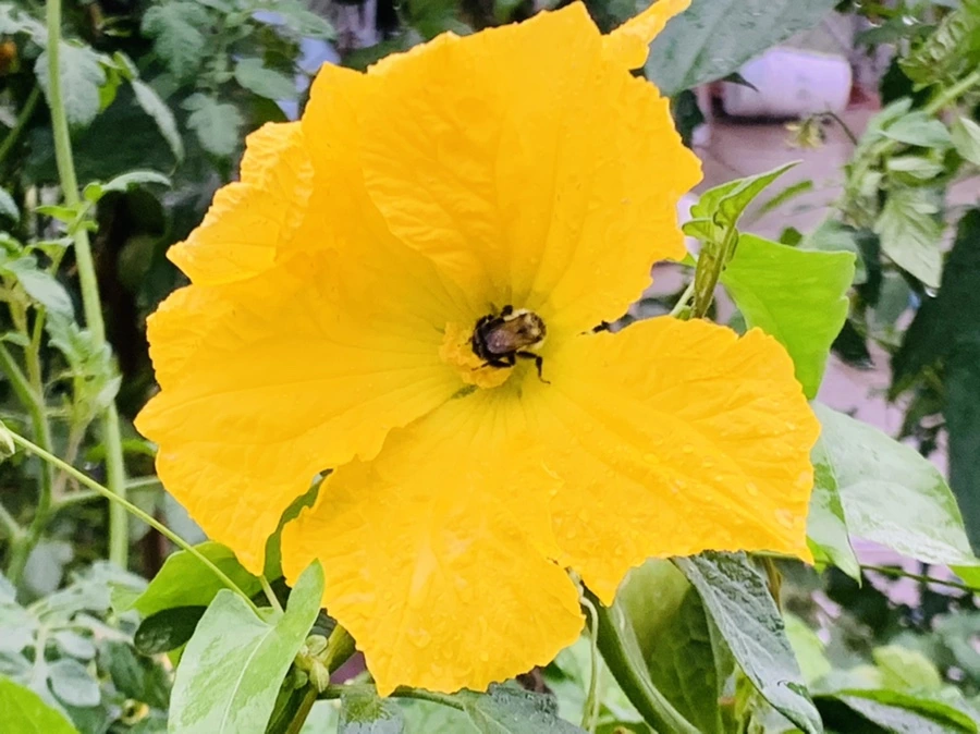 IMG_3689.jpg?type=w966