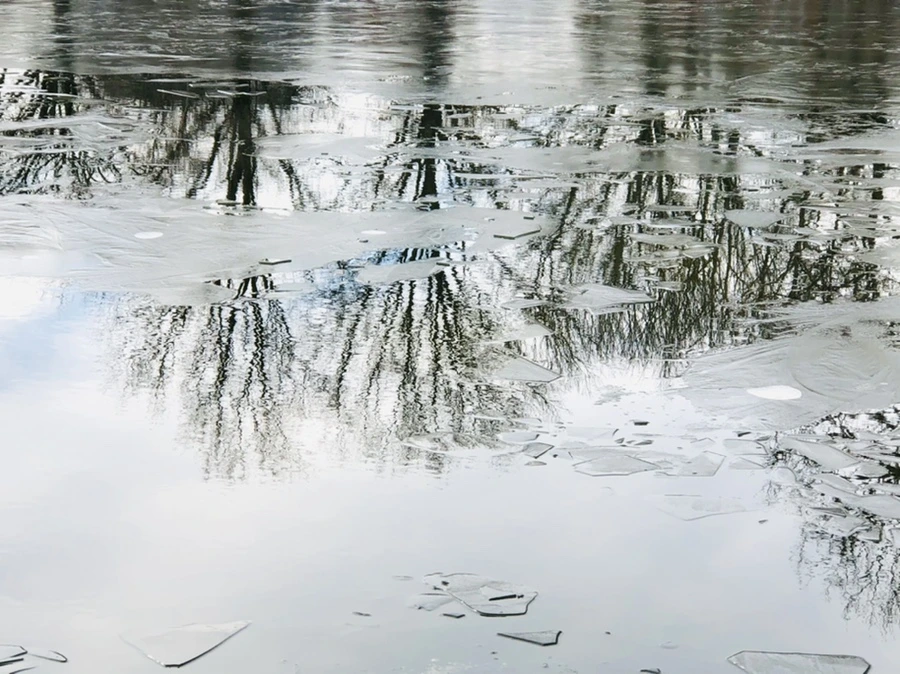 IMG_4790.jpg?type=w966