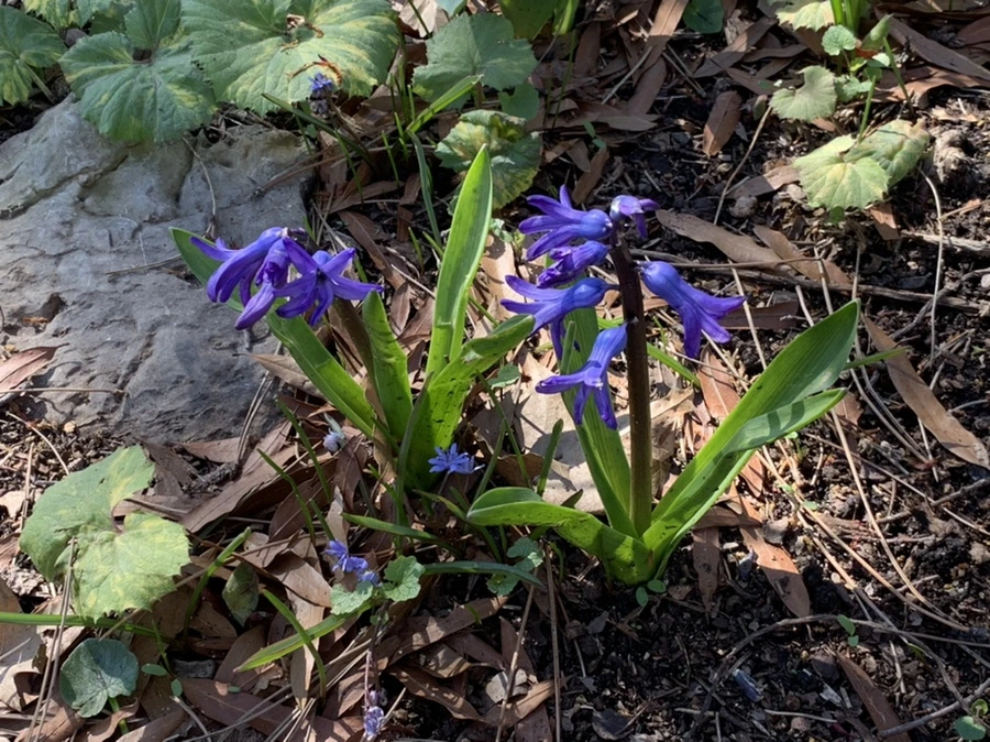 IMG_5784.jpg?type=w966