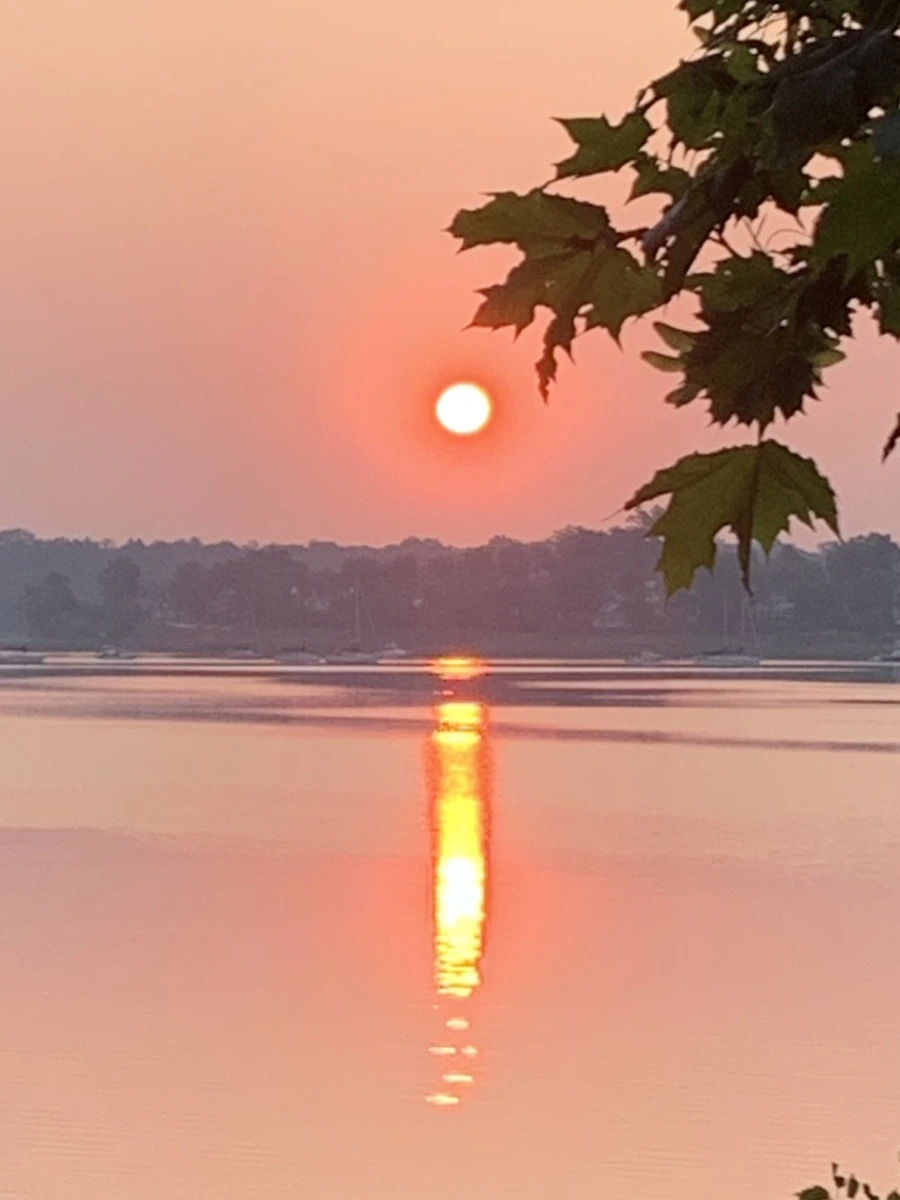 IMG_1983.jpg?type=w966