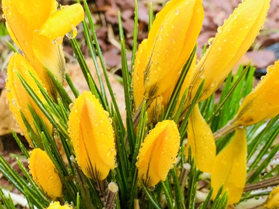 IMG_2024.jpg?type=w966