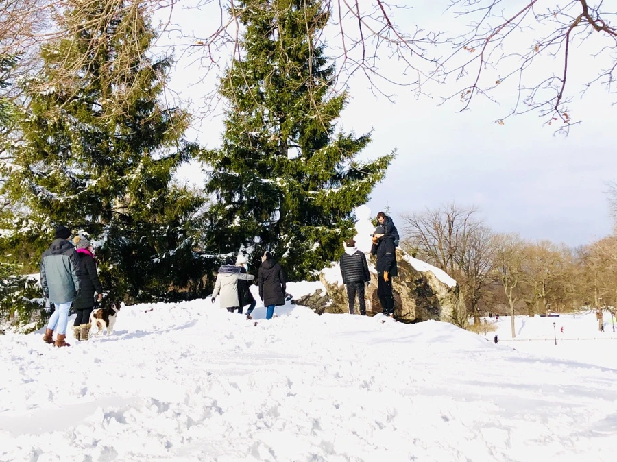 IMG_7070.jpg?type=w966