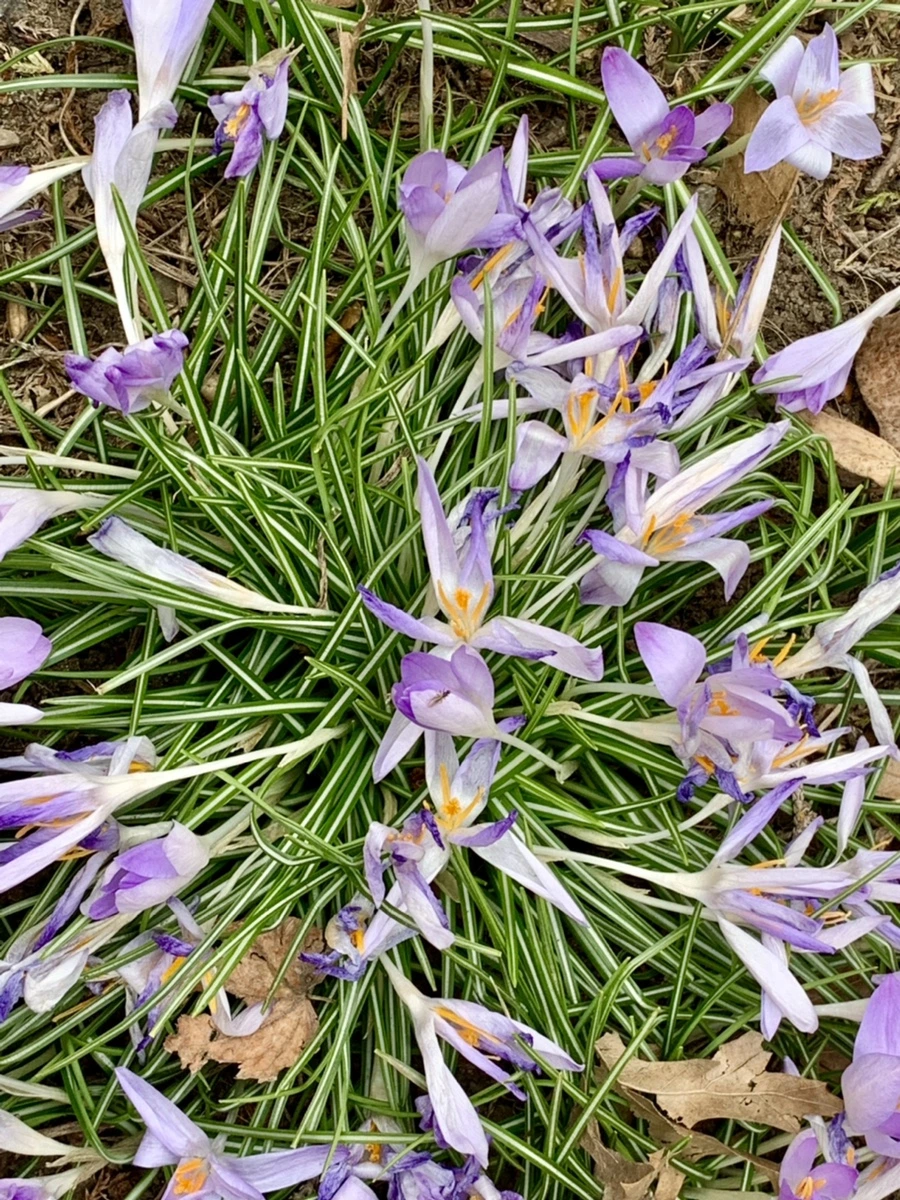 IMG_1724.jpg?type=w966