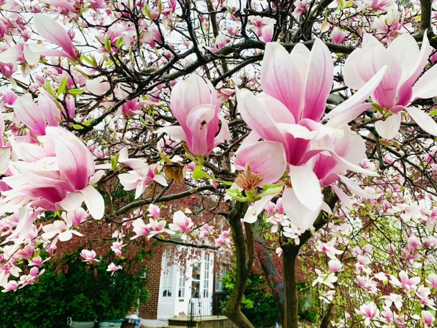 IMG_2341.jpg?type=w966