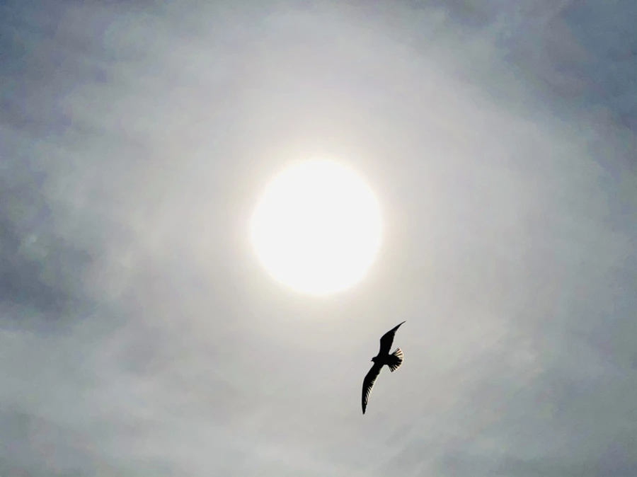 IMG_3127.jpg?type=w966